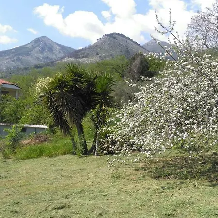 Serenella *