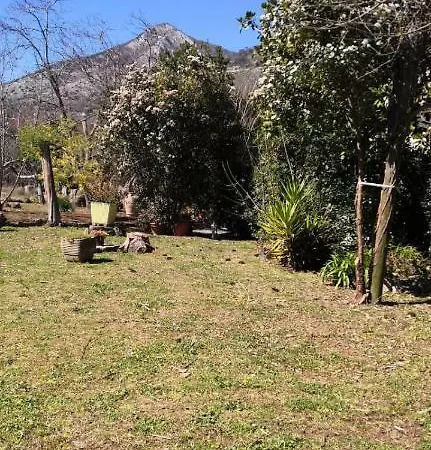 Serenella